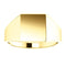 Men's Closed Back Rectangle Signet Ring, 14k Yellow Gold (11X10mm)