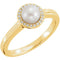 White Freshwater Cultured Pearl and Diamond Halo Ring, 14k Yellow Gold (5.5-6mm) (.05Ctw, G-H Color, I1 Clarity)