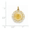 14k Yellow Gold Miraculous Medal Charm (23X19MM)