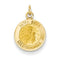 14k Yellow Gold Matka Boska Medal Charm (17X12MM)