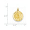 14k Yellow Gold Infant of Prague Medal Charm (20X15MM)