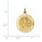 14k Yellow Gold St. Andrew Medal Pendant (24X18MM)