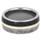 Dinosaur Bone, Gibeon Meteorite, 14k Yellow Gold 9mm Titanium Comfort-Fit Wedding Band