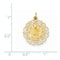 14k Yellow Gold Our Lady of Mt. Carmel Medal Charm (24X19MM)
