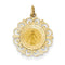 14k Yellow Gold Miraculous Medal Charm (23X19MM)