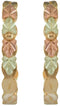 Hoop Earrings, 10k Yellow Gold, 12k Green Gold, 12k Rose Gold Black Hills Gold