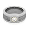 Diamond Gibeon Meteorite 9mm Comfort-Fit Polished Titanium Band