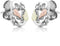 Little Foliage Earrings, Sterling Silver, 12k Green and Rose Gold Black Hills Gold Motif