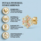 Petals Pinwheel Star Earrings, 10k Yellow Gold, 12k Green and Rose Gold Black Hills Gold Motif