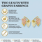 Two Leaves with Grapes Earrings, 10k Yellow Gold, 12k Green and Rose Gold Black Hills Gold Motif