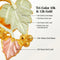 Graduated Leaves Stud Earrings, 10k Yellow Gold, 12k Green and Rose Gold Black Hills Gold Motif