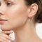 Leaf Earrings, Sterling Silver, 12k Rose Gold Black Hills Gold Motif