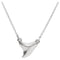 Shark Tooth Necklace in Sterling Silver, 16-18"