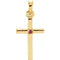 Ruby Inset Cross 14k Yellow Gold Pendant (19.2x9MM)