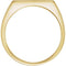 Men's 14k Yellow Gold Brushed Signet Ring (7x15 mm) Size 11.5