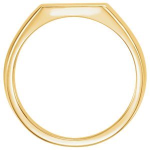 Men's 14k Yellow Gold Brushed Signet Ring (15x12mm) Size 9.5