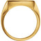 Men's Brushed Signet Semi-Polished Ring, 10k Yellow Gold (14mm) Size 6