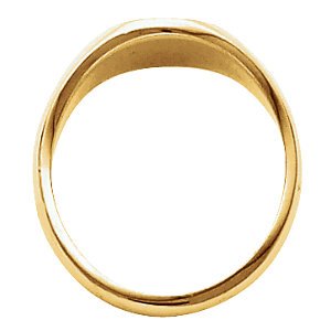 Men's Closed Back Brushed Oval Signet Semi-Polished 10k Yellow Gold Ring (13.25x10.75mm), Size 11