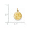 14k Yellow Gold Our Lady Of Lourdes Medal Charm (18X12MM)