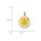 14k Yellow Gold Infant Of Prague Medal Charm (17X12MM)