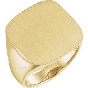 Men's Closed Back Signet Semi-Polished 10k Yellow Gold Ring (20mm) Size 11