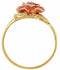 Ave 369 Diamond Rose Ring, 10k Yellow Gold, 12k Green and Rose Gold Black Hills Gold Motif (.04 Ct)