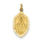 14k Yellow Gold Miraculous Medal Charm Pendant (24X12 MM)