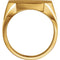 Men's Satin Brushed Signet Ring, 10k Yellow Gold (22x20MM)