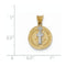 Rhodium-Plated 14k Yellow Gold Circle St. Benedict Medal Pendant