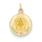 14k Yellow Gold Our Lady Of Cuba Medal Charm(18X12MM)