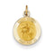 14k Yellow Gold Saint Gerard Medal Charm (19X12MM)