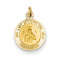 14k Yellow Gold Our Lady of Perpetual Help Medal Charm (17X12MM)