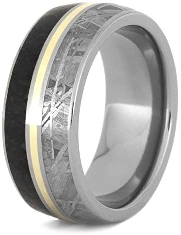 Dinosaur Bone, Gibeon Meteorite, 14k Yellow Gold 9mm Titanium Comfort-Fit Wedding Band, Size 10