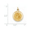 14k Yellow Gold St. Peter Medal Charm (23X15MM)