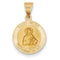 14k Yellow Gold St. Peter Medal Pendant (18X16MM)