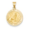 14k Yellow Gold Lady Of Lourdes Medal Pendant (21X19MM)