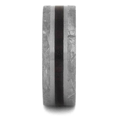 Gibeon Meteorite, Petrified Wood 8mm Matte Titanium Comfort-Fit Wedding Band