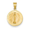 14k Yellow Gold Miraculous Medal Pendant (23X15MM)