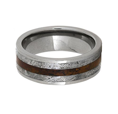 Gibeon Meteorite, Petrified Wood 8mm Comfort-Fit Titanium Ring, Size 12
