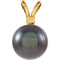 Black Akoya Cultured Pearl 14k Yellow Gold Pendant (6.00MM)