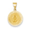 14k Yellow Gold Miraculous Medal Pendant (18X15MM)