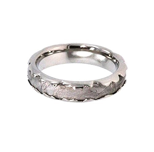Custom Wavy Design, Gibeon Meteorite Inlay 5mm Comfort Fit Titanium Cool Ring, Size 10.25