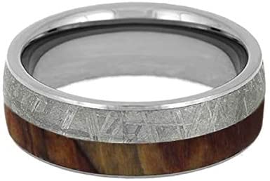 Gibeon Meteorite, Petrified Wood 8mm Comfort-Fit Titanium Band
