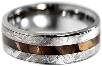 Gibeon Meteorite, Petrified Wood 7mm Comfort-Fit Titanium Ring, Size 12.25