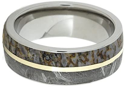 Gibeon Meteorite, Dinosaur Bone, 14k Yellow Gold 8mm Comfort Fit Titanium Band, Size 8.5