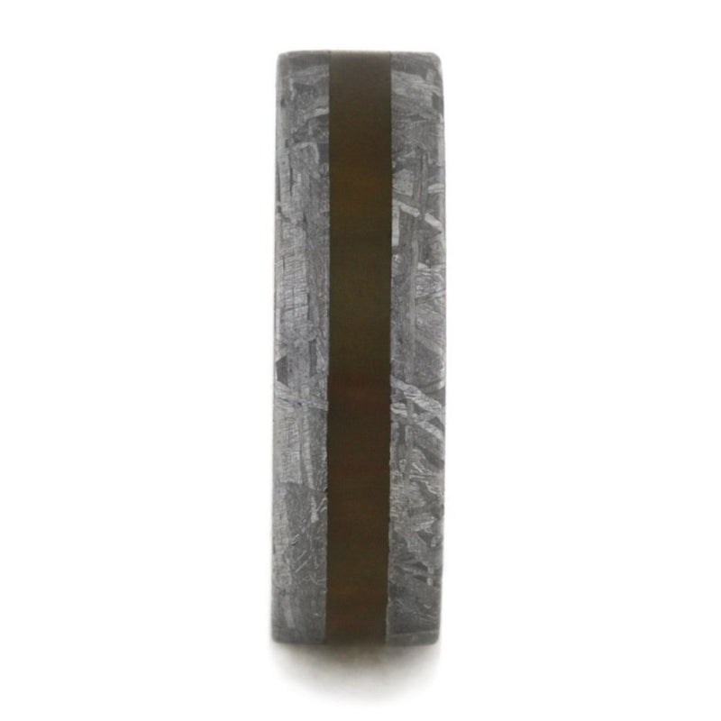 Gibeon Meteorite, Petrified Wood 6mm Comfort-Fit Matte Titanium Band