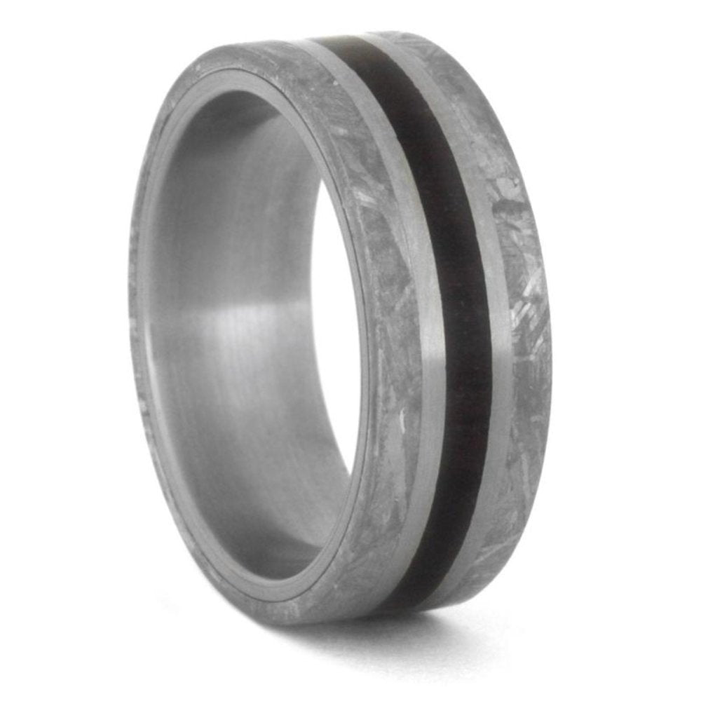 Gibeon Meteorite, Petrified Wood 8mm Matte Titanium Comfort-Fit Wedding Band