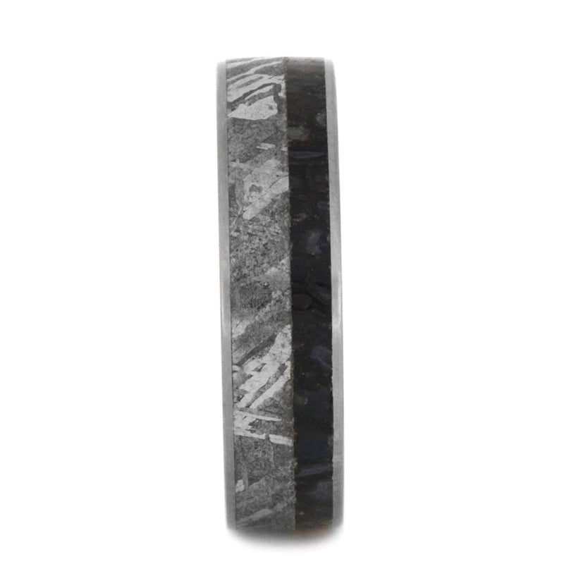 Dinosaur Bone, Gibeon Meteorite 6mm Comfort-Fit Matte Titanium Wedding Band