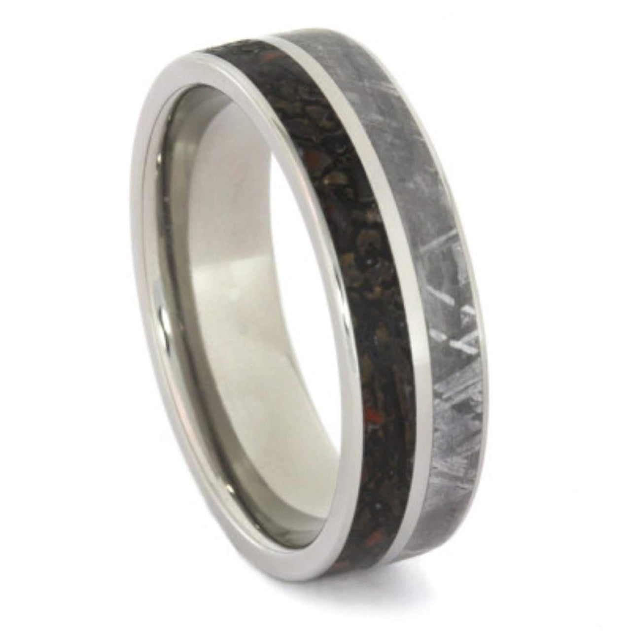 Dinosaur Bone, Gibeon Meteorite 8mm Comfort-Fit Titanium Ring