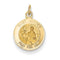 14k Yellow Gold St. Matthew Medal Charm (19X12MM)